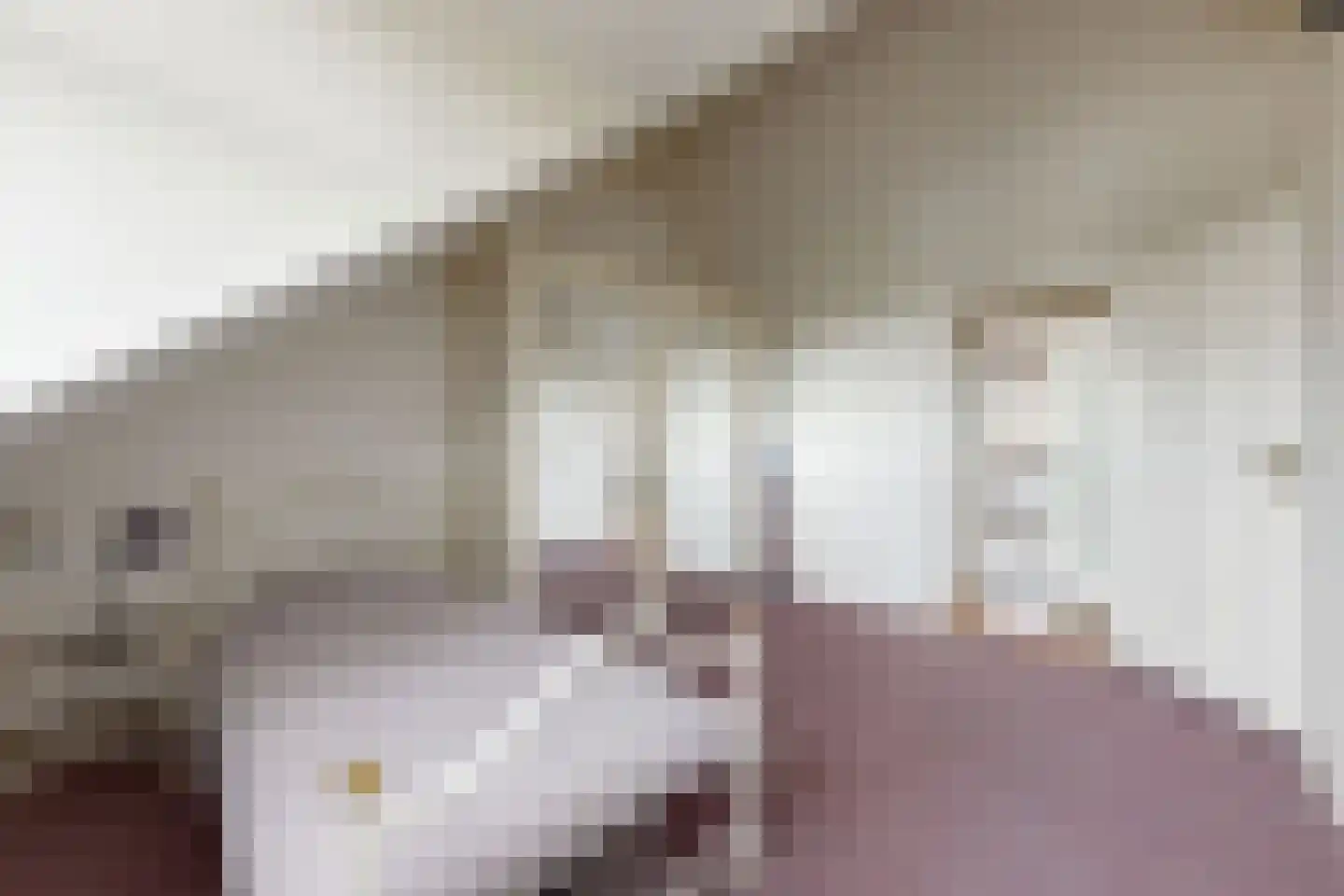 Bisschop Hopmansstraat 5 Noordhoek thumbnail 80