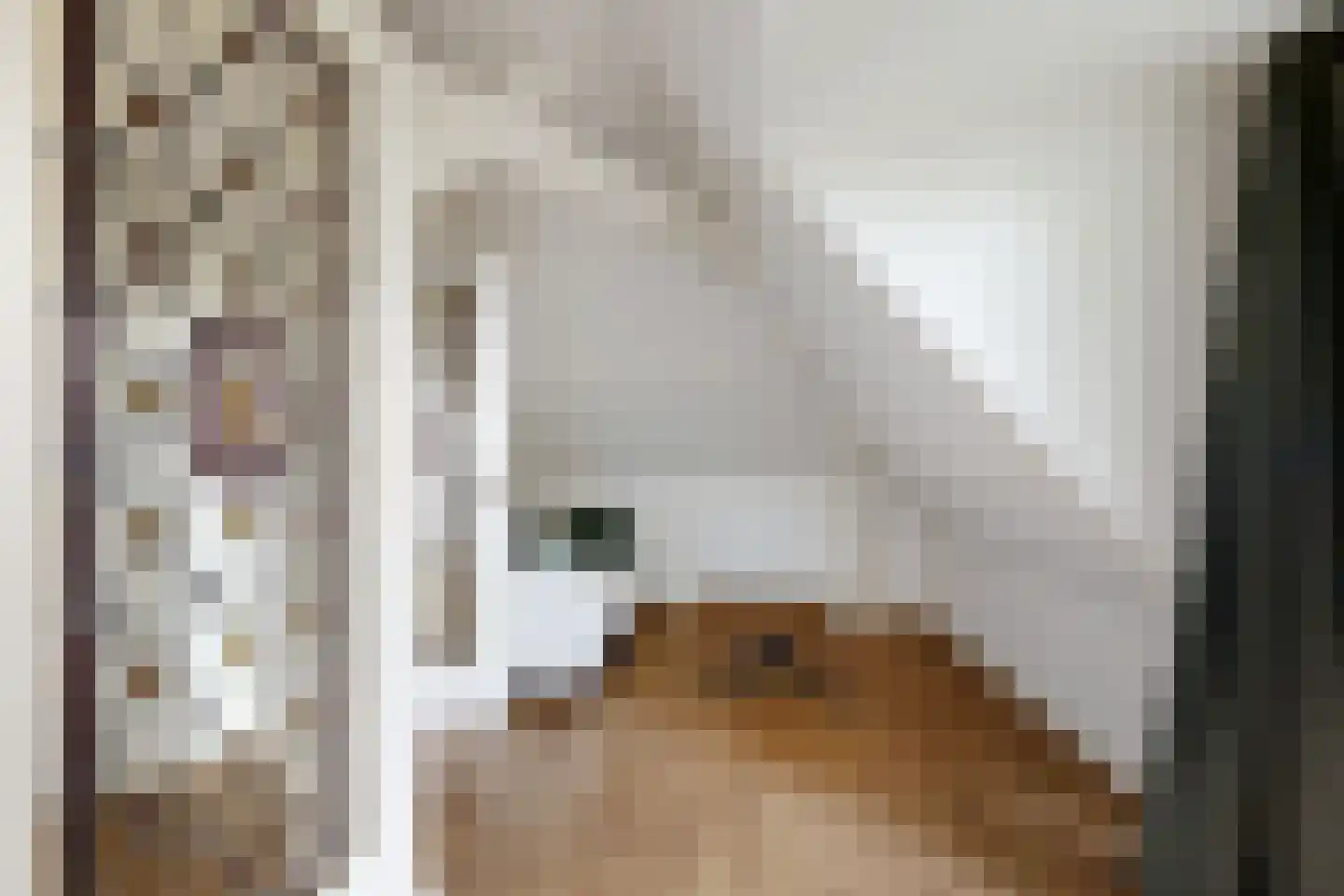 Bisschop Hopmansstraat 5 Noordhoek thumbnail 83