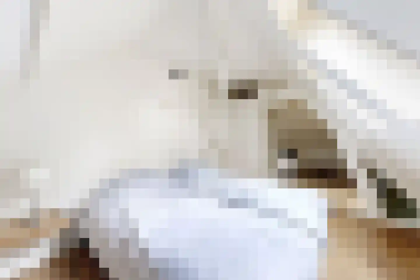 Bisschop Hopmansstraat 5 Noordhoek thumbnail 87
