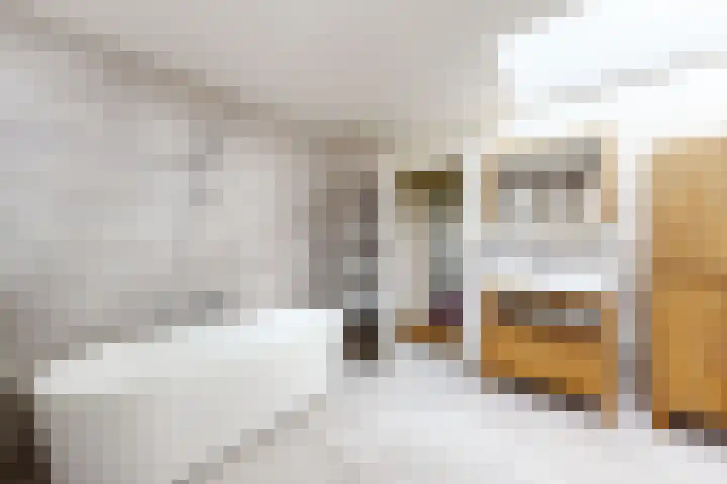 Bisschop Hopmansstraat 5 Noordhoek thumbnail 91