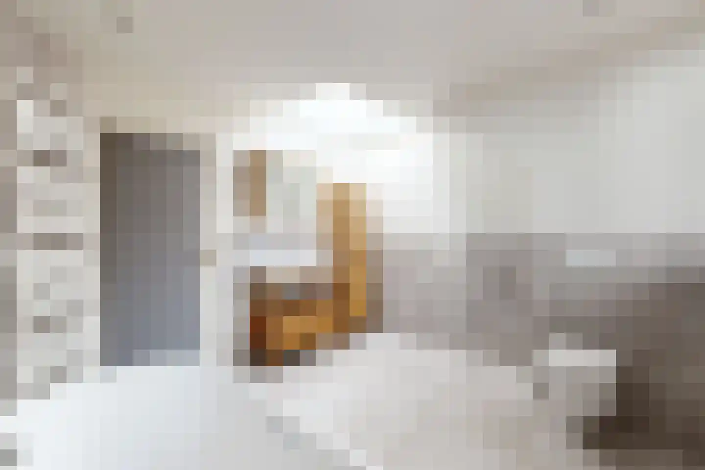 Bisschop Hopmansstraat 5 Noordhoek thumbnail 92