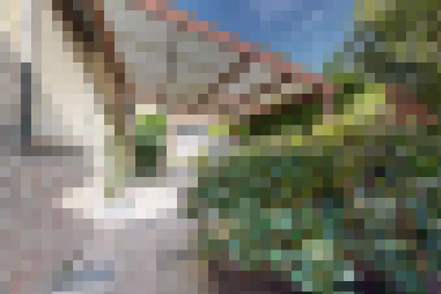 Bisschop Hopmansstraat 9 Noordhoek thumbnail 10