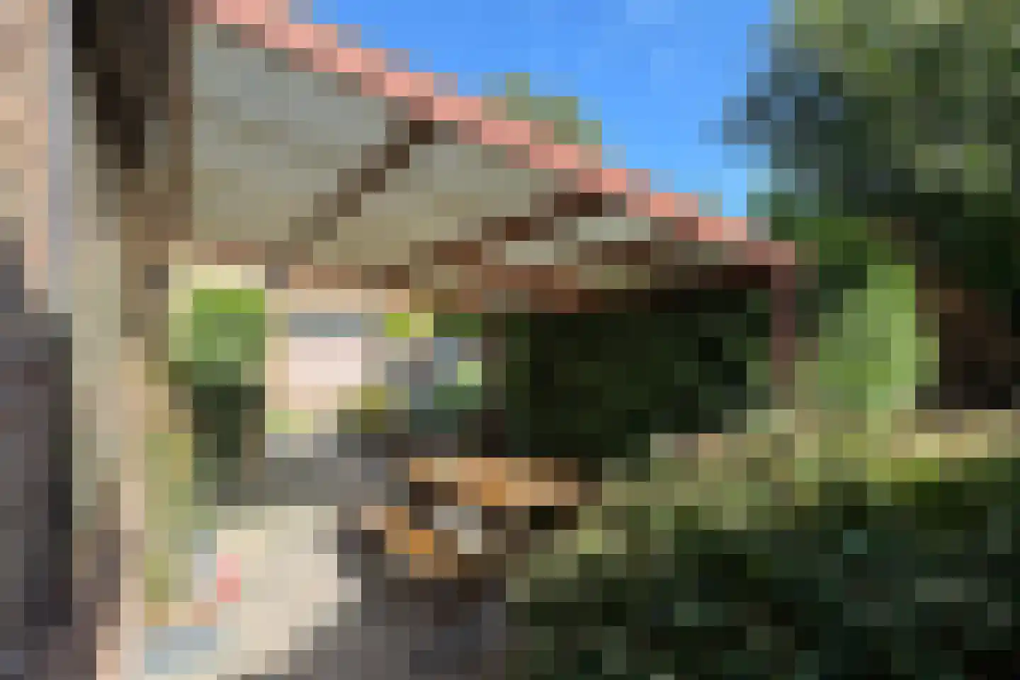 Bisschop Hopmansstraat 9 Noordhoek thumbnail 11