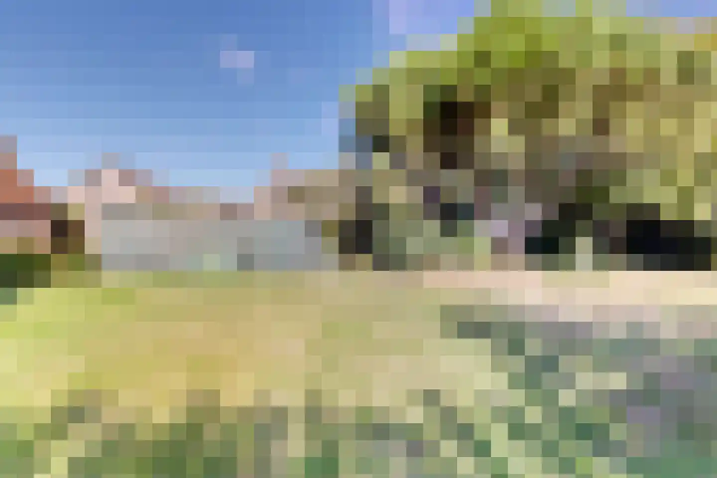 Bisschop Hopmansstraat 9 Noordhoek thumbnail 20