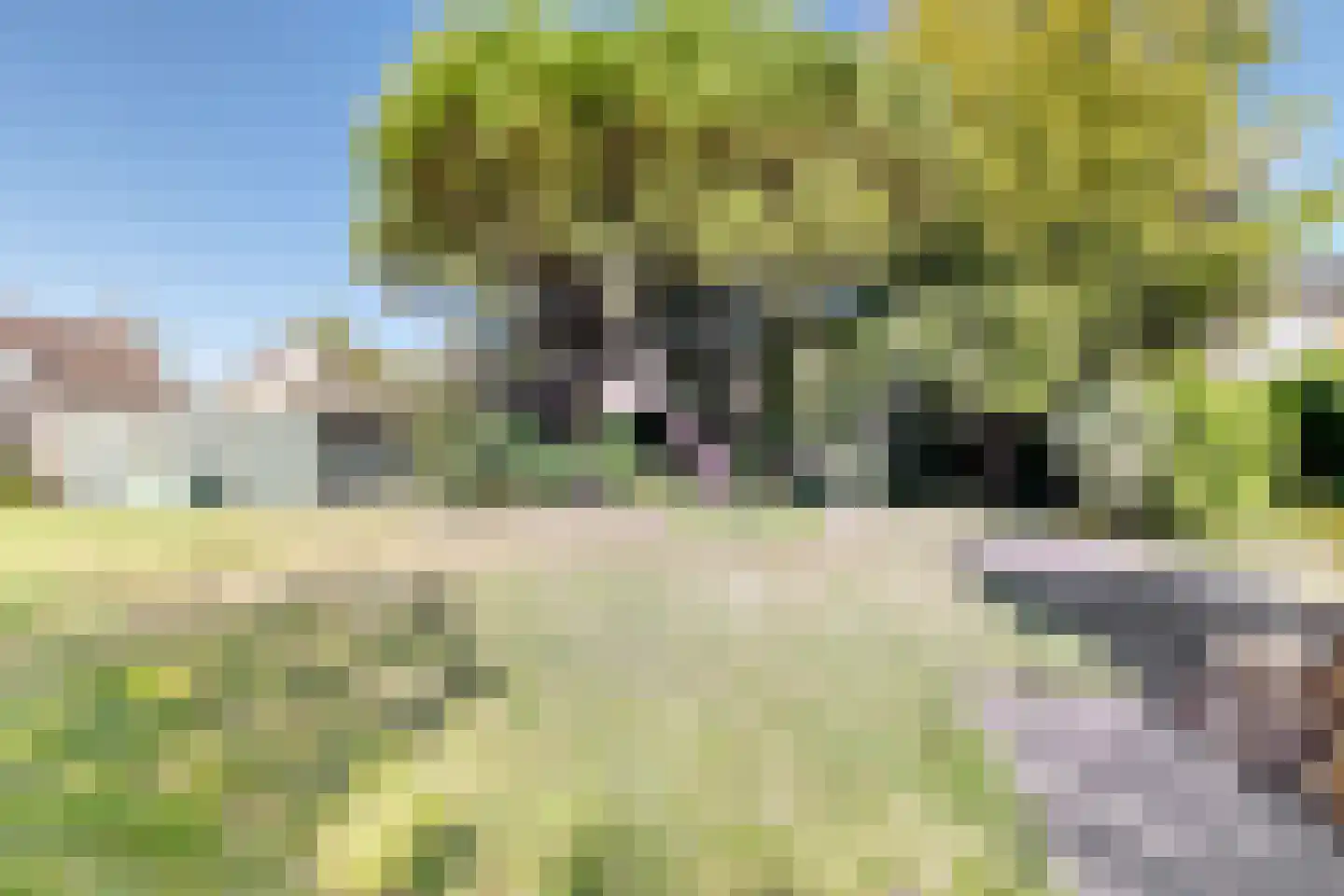 Bisschop Hopmansstraat 9 Noordhoek thumbnail 21