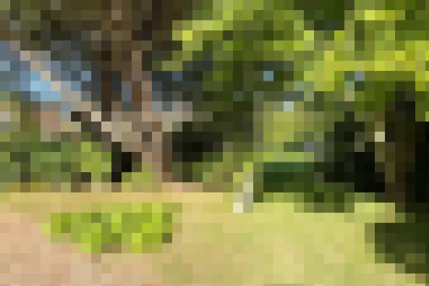 Bisschop Hopmansstraat 9 Noordhoek thumbnail 22