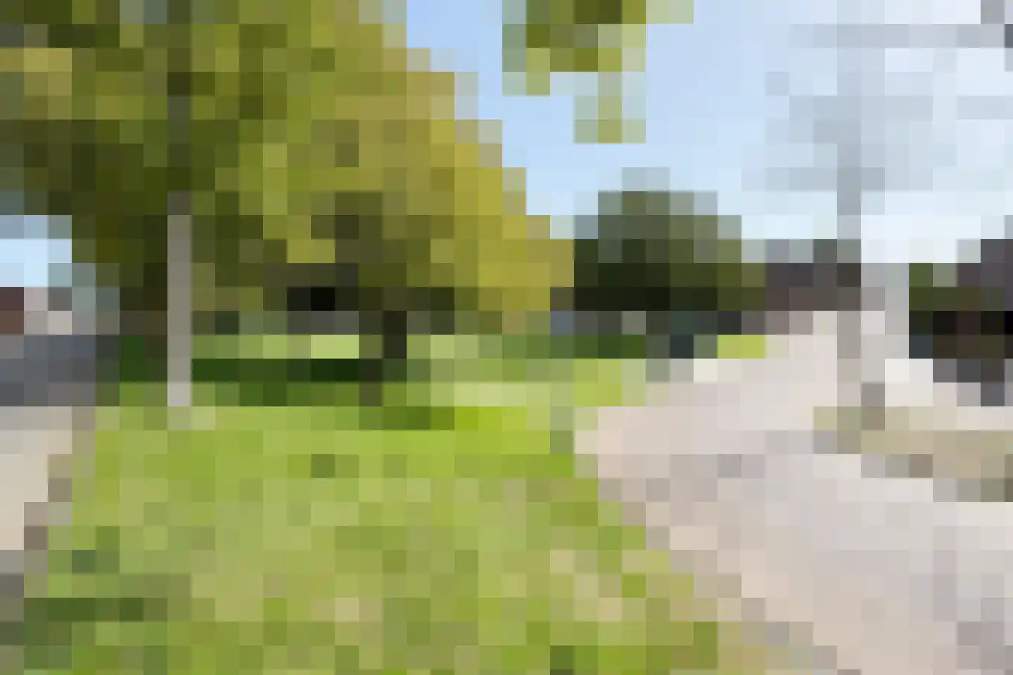 Bisschop Hopmansstraat 9 Noordhoek thumbnail 30