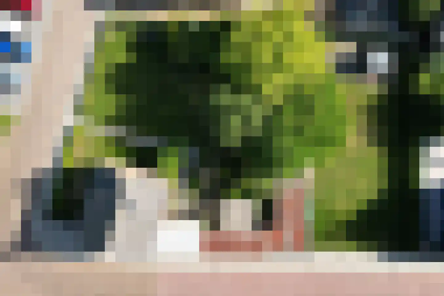 Bisschop Hopmansstraat 9 Noordhoek thumbnail 4