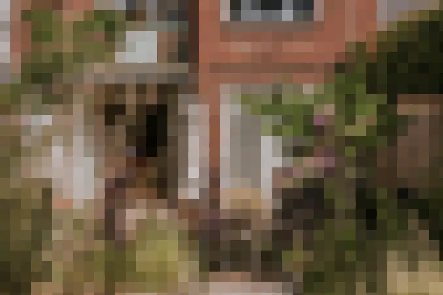 Bisschop Lindanussingel 13 Roermond thumbnail 26