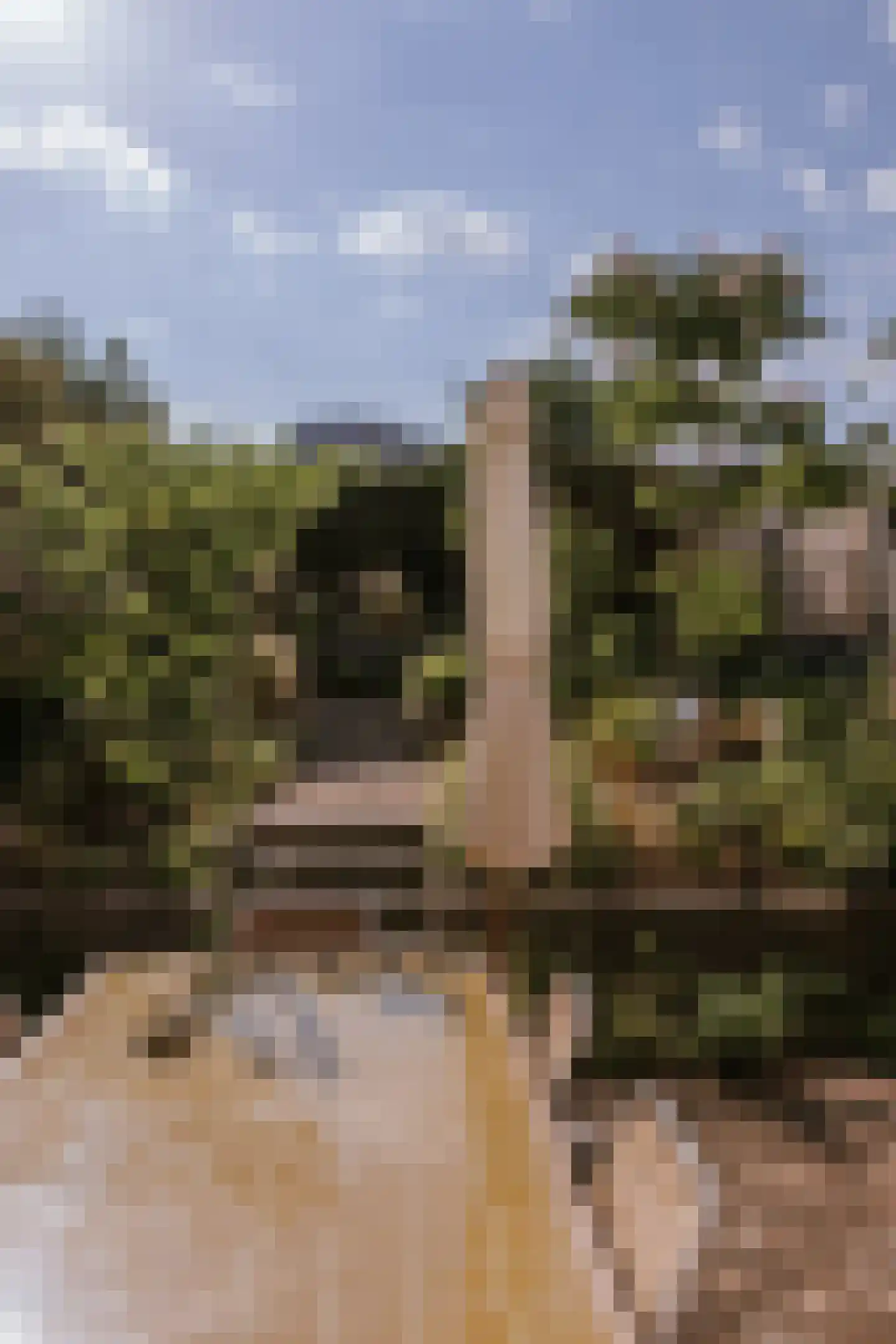 Bisschop Lindanussingel 13 Roermond thumbnail 28