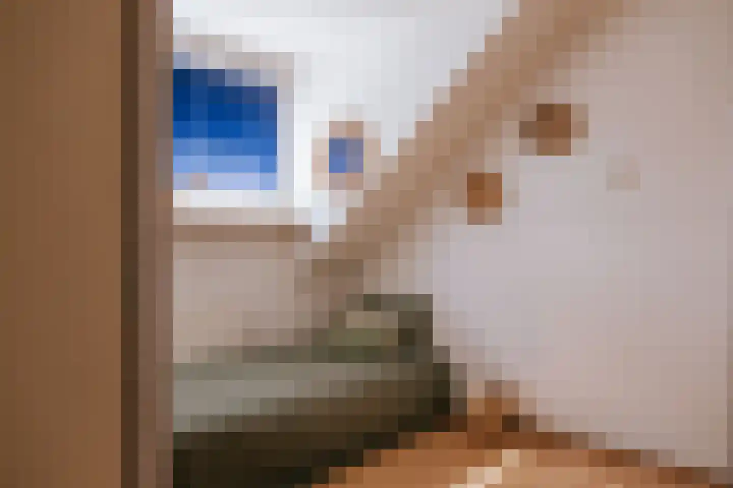 Bisschop Lindanussingel 13 Roermond thumbnail 41