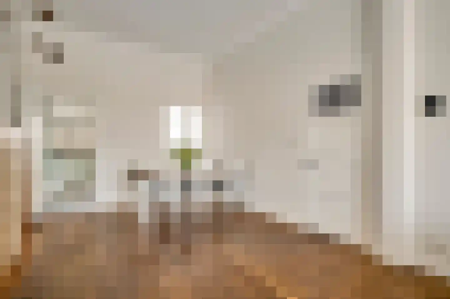 Bisschop Lindanussingel 21 Roermond thumbnail 10