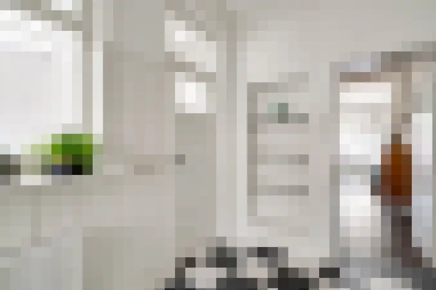 Bisschop Lindanussingel 21 Roermond thumbnail 17