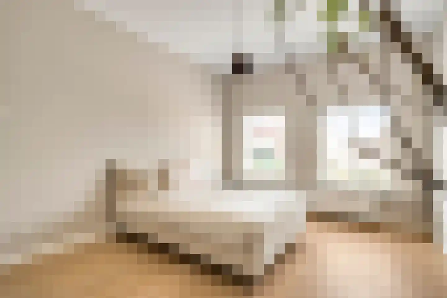 Bisschop Lindanussingel 21 Roermond thumbnail 29