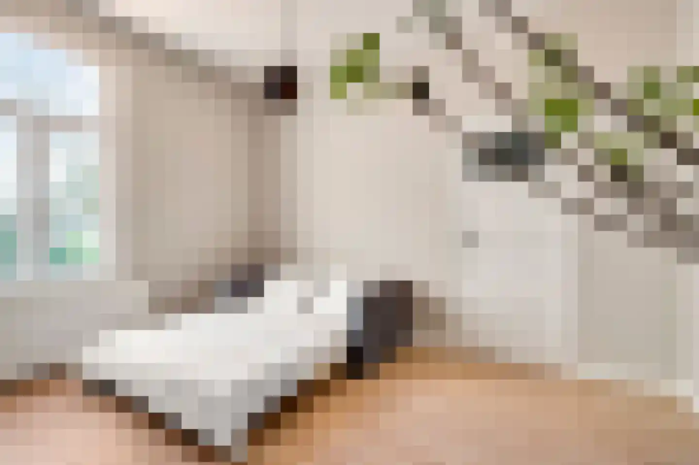Bisschop Lindanussingel 21 Roermond thumbnail 31