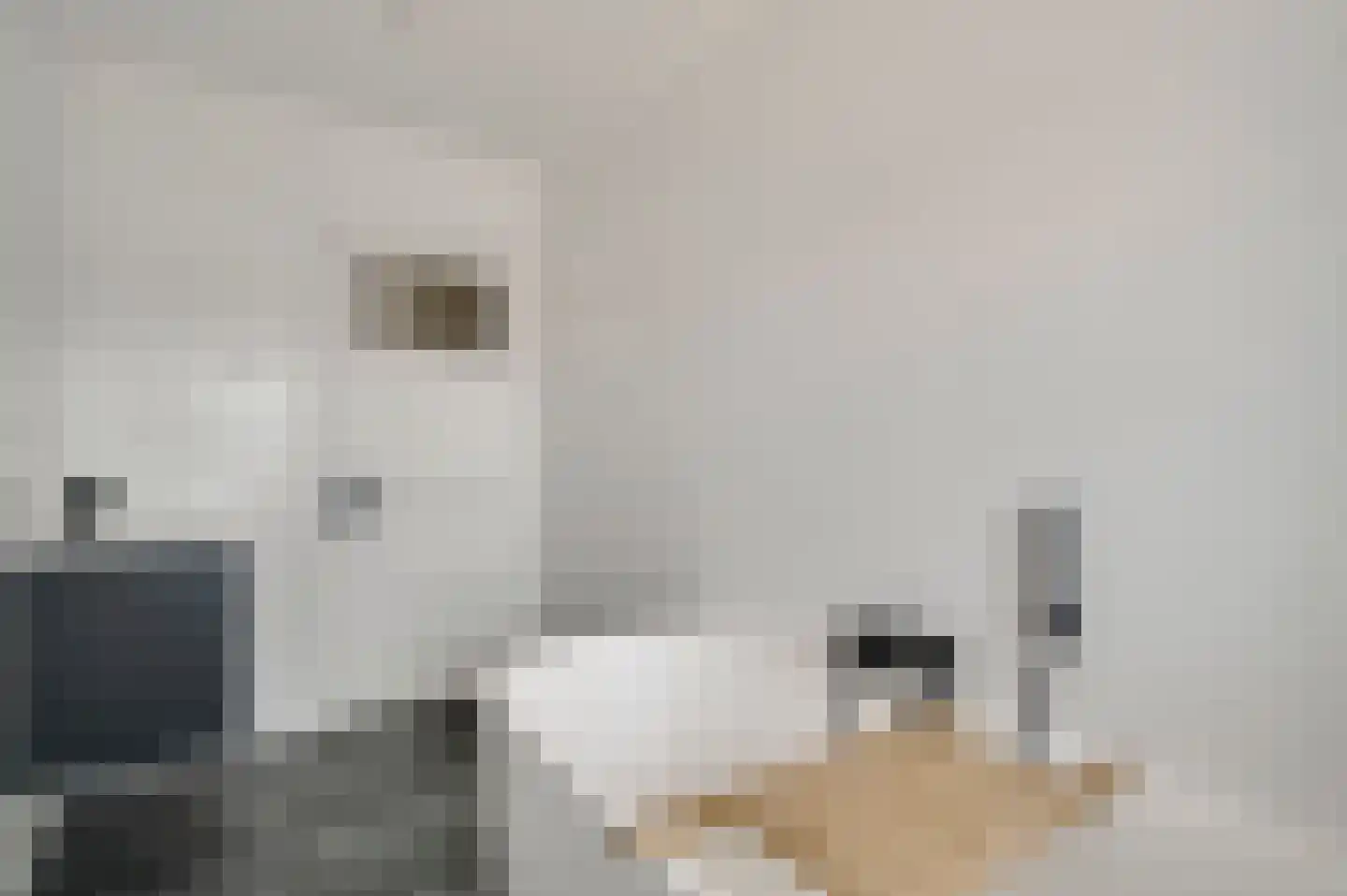Bisschop Lindanussingel 21 Roermond thumbnail 33