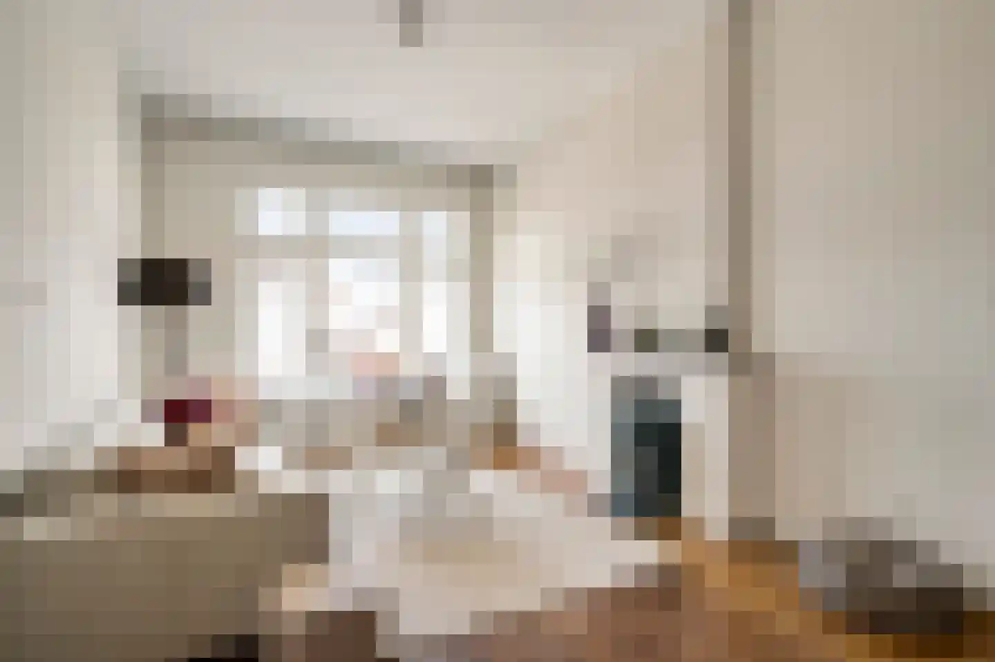 Bisschop Lindanussingel 21 Roermond thumbnail 7