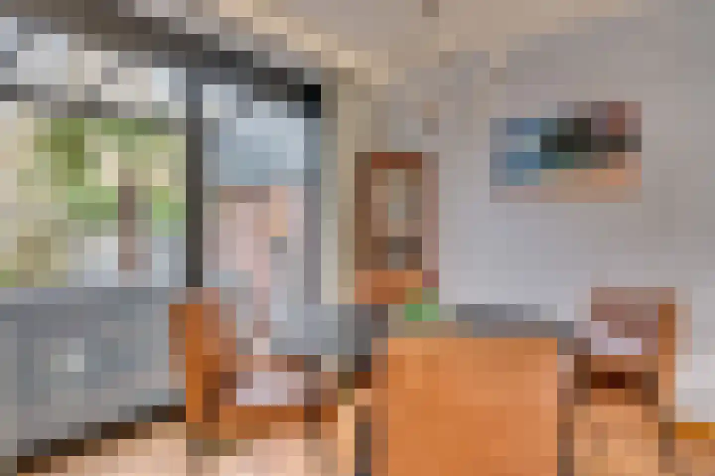 Bisschop Lindanusstraat 11 Venlo thumbnail 22