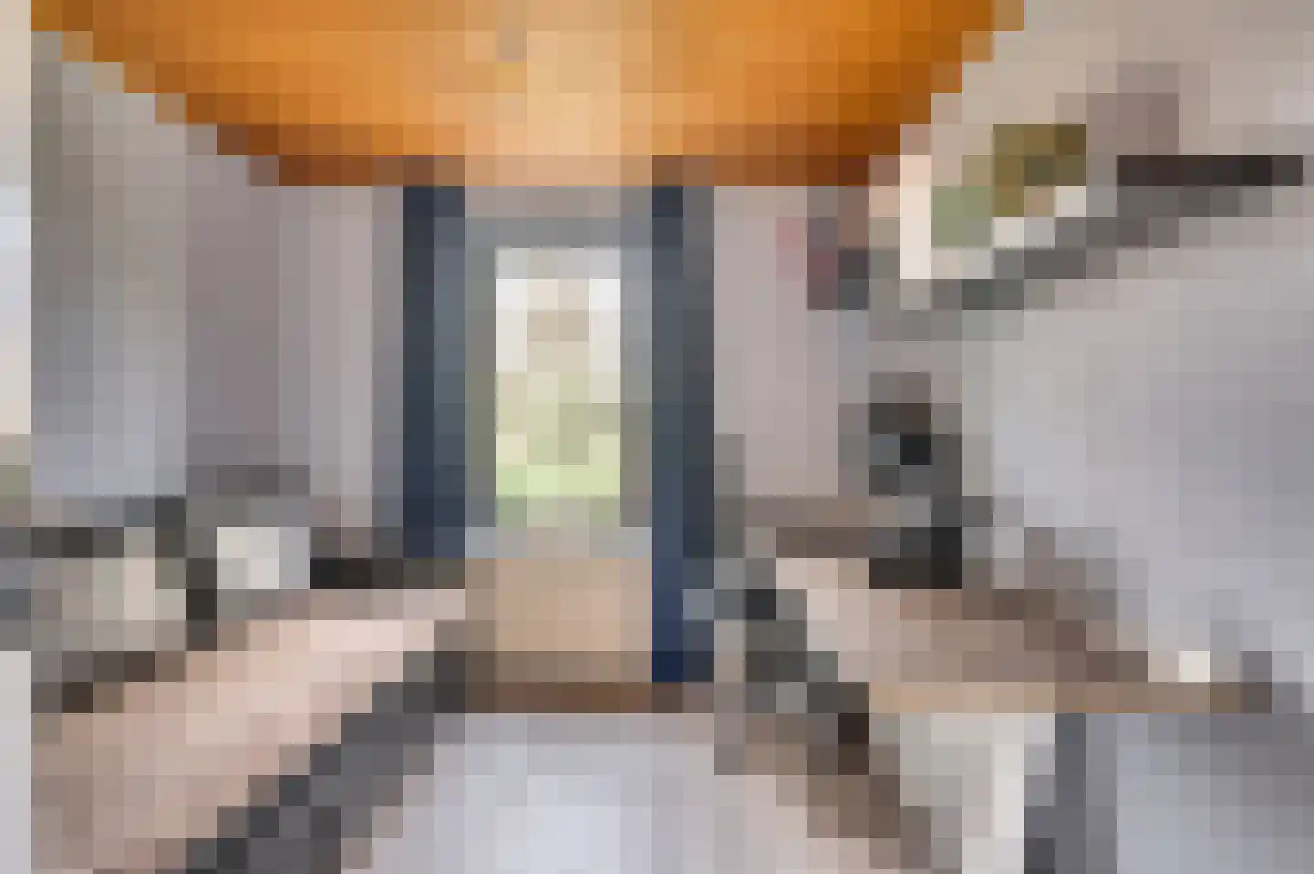 Bisschop Lindanusstraat 11 Venlo thumbnail 31