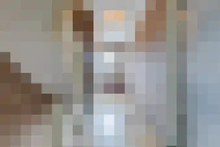 Bisschop Lindanusstraat 35 Venlo thumbnail 15