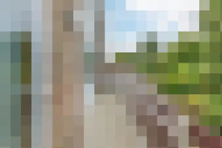 Bisschop Lindanusstraat 35 Venlo thumbnail 38