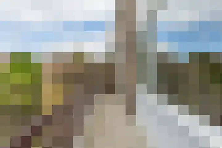 Bisschop Lindanusstraat 35 Venlo thumbnail 39