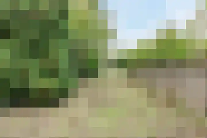 Bisschop Lindanusstraat 35 Venlo thumbnail 40