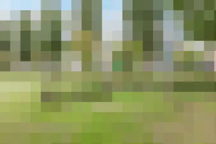 Bisschop Lindanusstraat 35 Venlo thumbnail 50