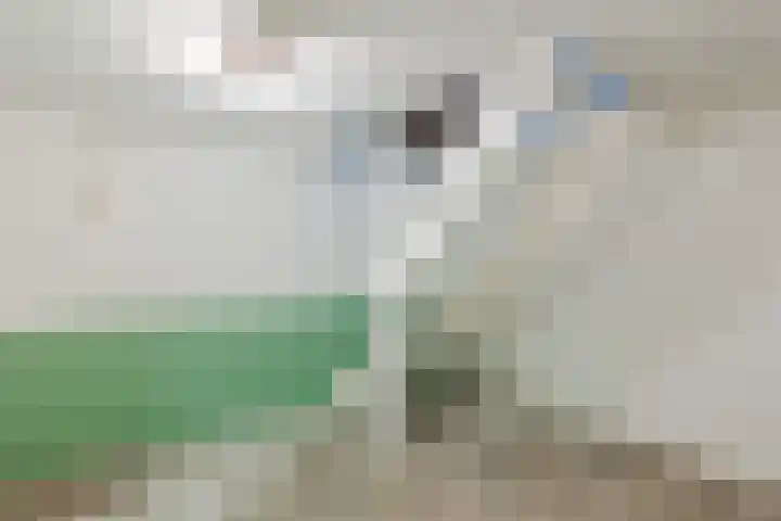 Bisschop Lindanusstraat 35 Venlo thumbnail 9