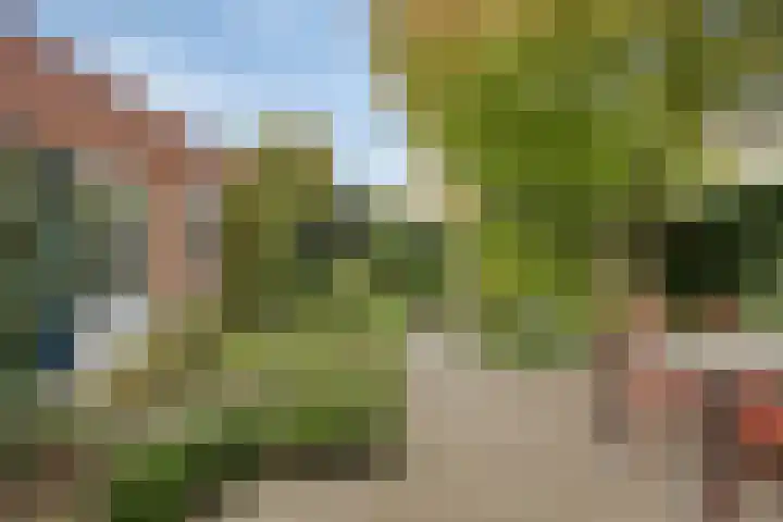 Bisschop Ludgerstraat 12 Zaltbommel thumbnail 31