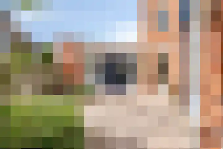 Bisschop Ludgerstraat 27 Zaltbommel thumbnail 33
