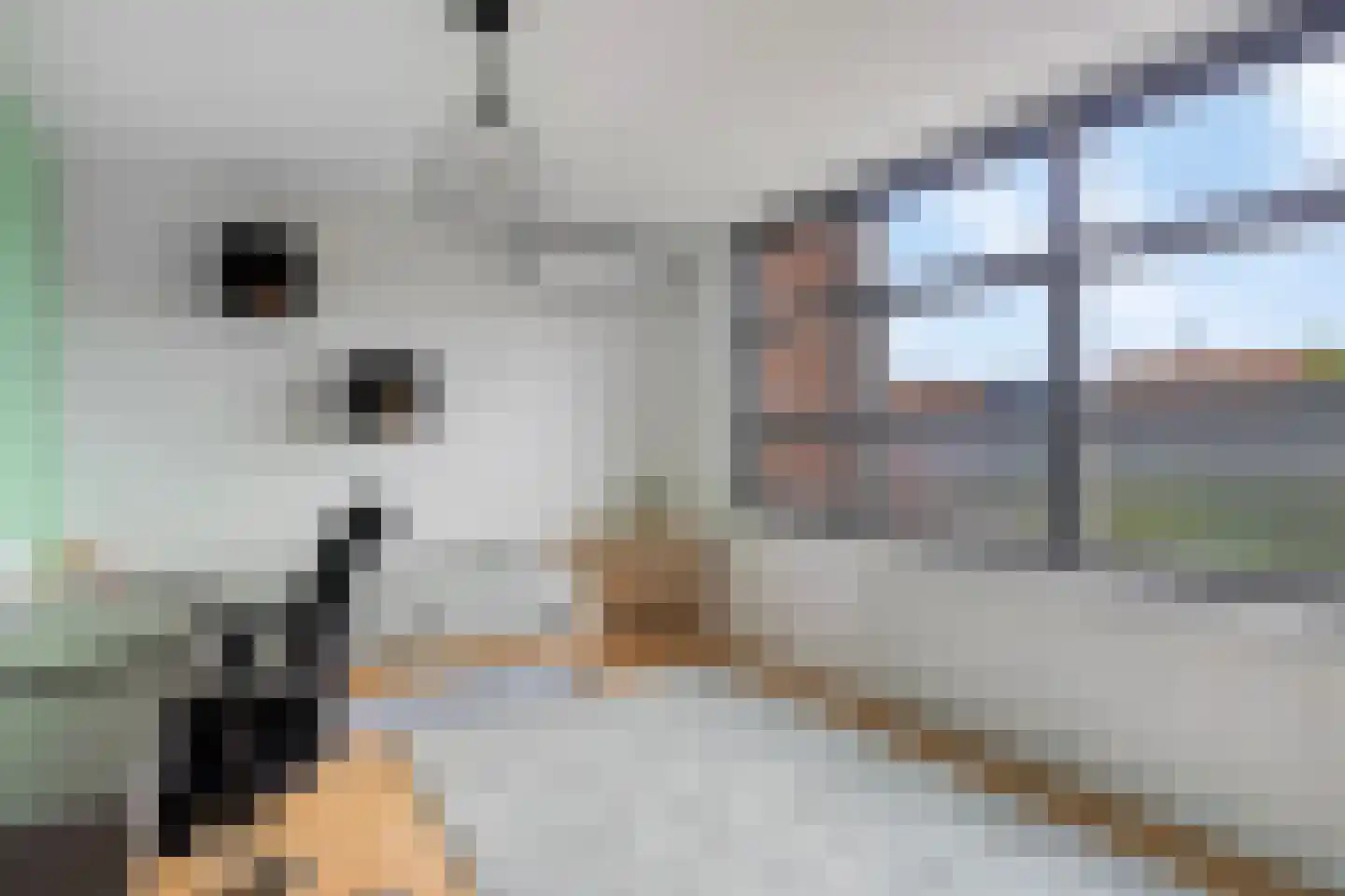 Bisschop Ludgerstraat 3 Zaltbommel thumbnail 30