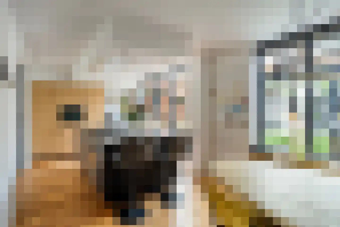 Bisschop Ludgerstraat 3 Zaltbommel thumbnail 7