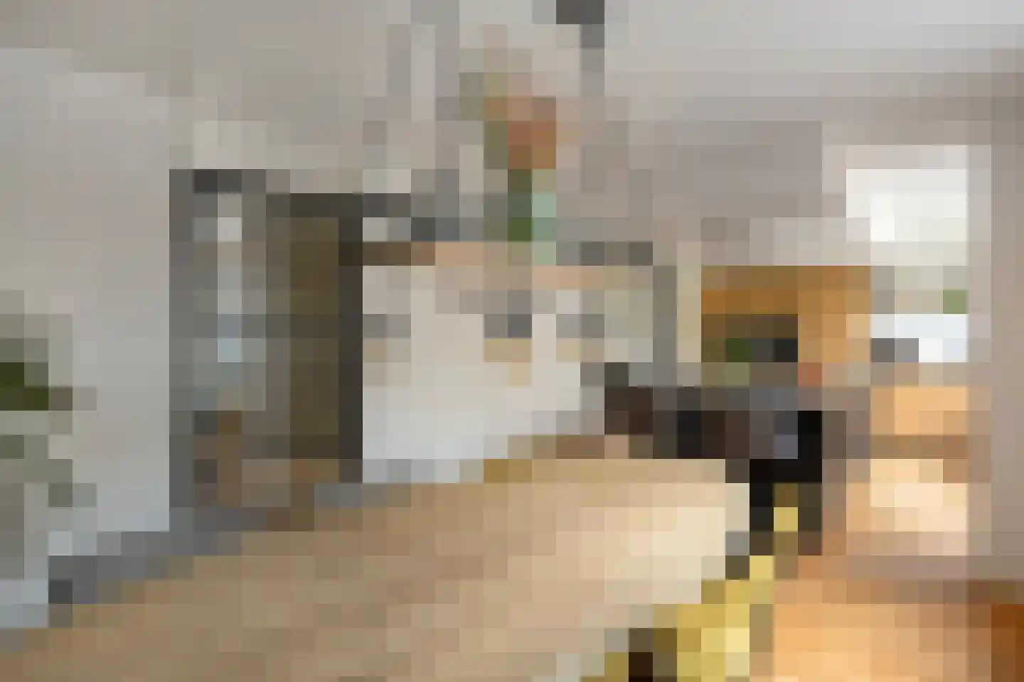 Bisschop Ludgerstraat 3 Zaltbommel thumbnail 8