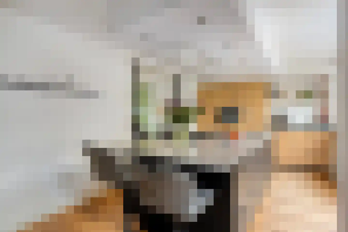 Bisschop Ludgerstraat 3 Zaltbommel thumbnail 9