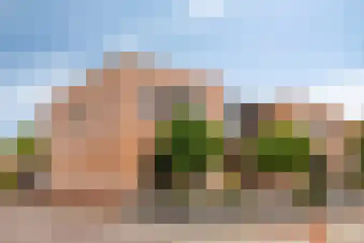 Bisschop Ludgerstraat 33 Zaltbommel thumbnail 5