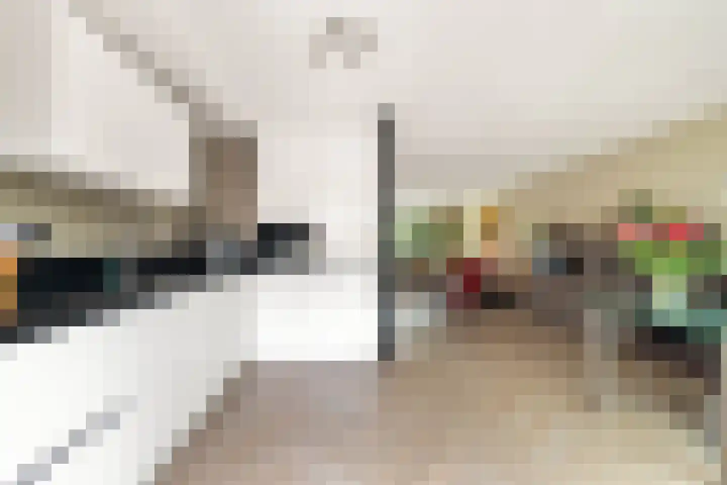 Bisschop Luwunstraat 4 Haarlem thumbnail 17