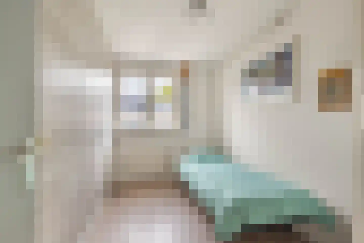 Bisschop Luwunstraat 4 Haarlem thumbnail 25