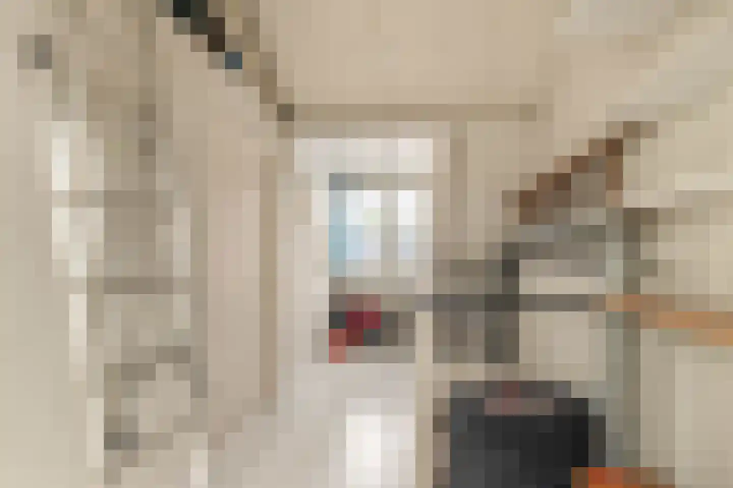 Bisschop Luwunstraat 4 Haarlem thumbnail 38