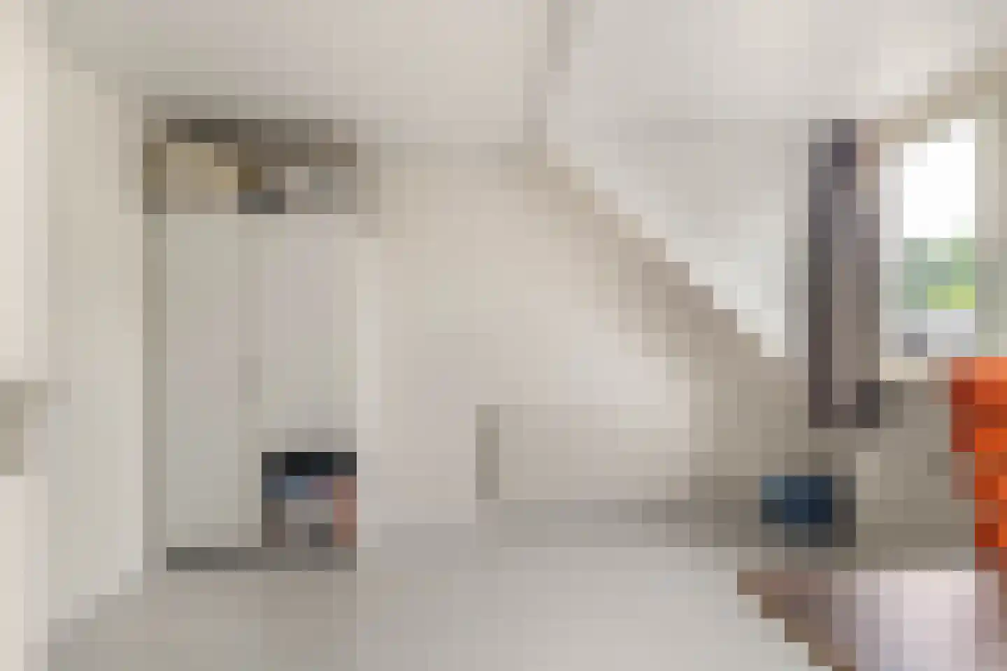 Bisschop Luwunstraat 4 Haarlem thumbnail 39