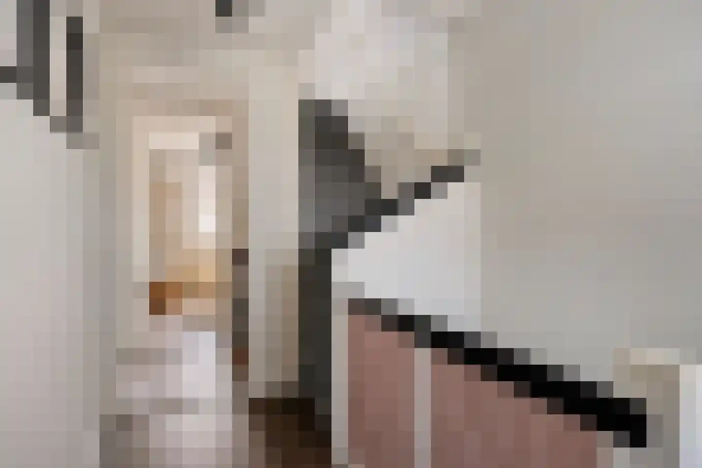 Bisschop Masiusstraat 29 Tilburg thumbnail 17