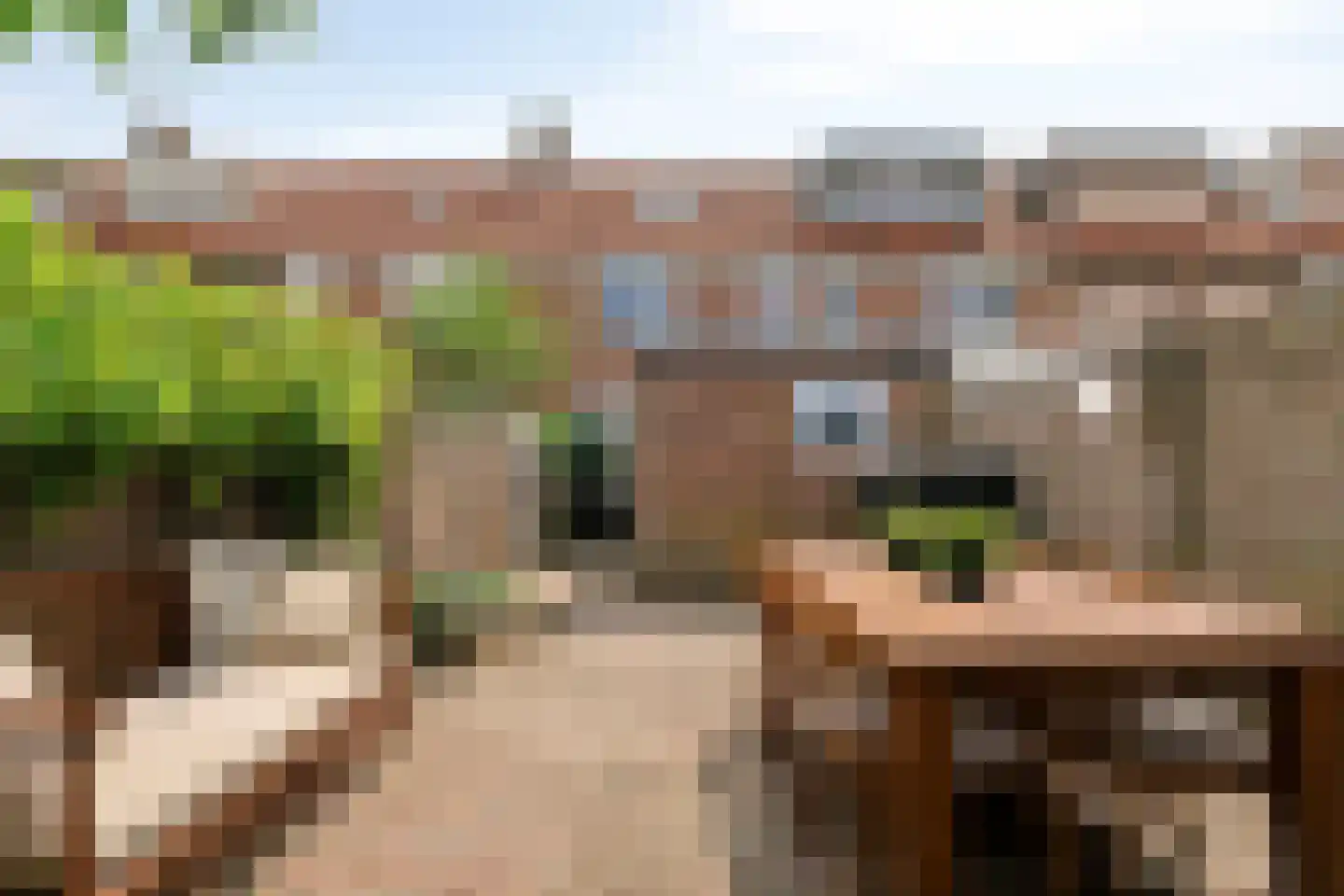 Bisschop Masiusstraat 29 Tilburg thumbnail 21