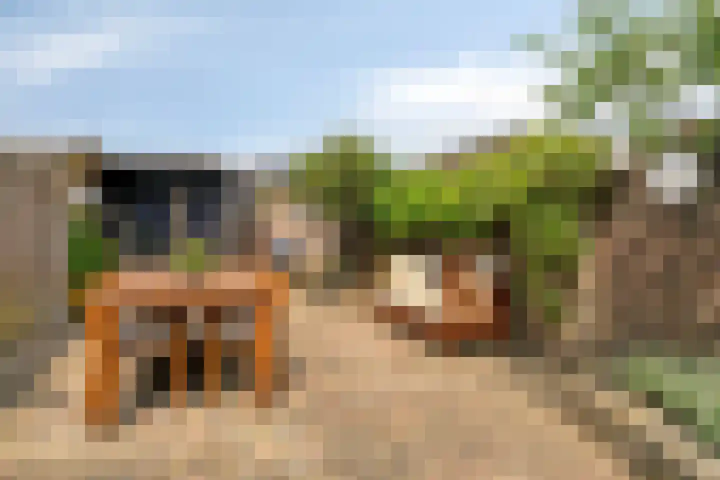 Bisschop Masiusstraat 29 Tilburg thumbnail 22