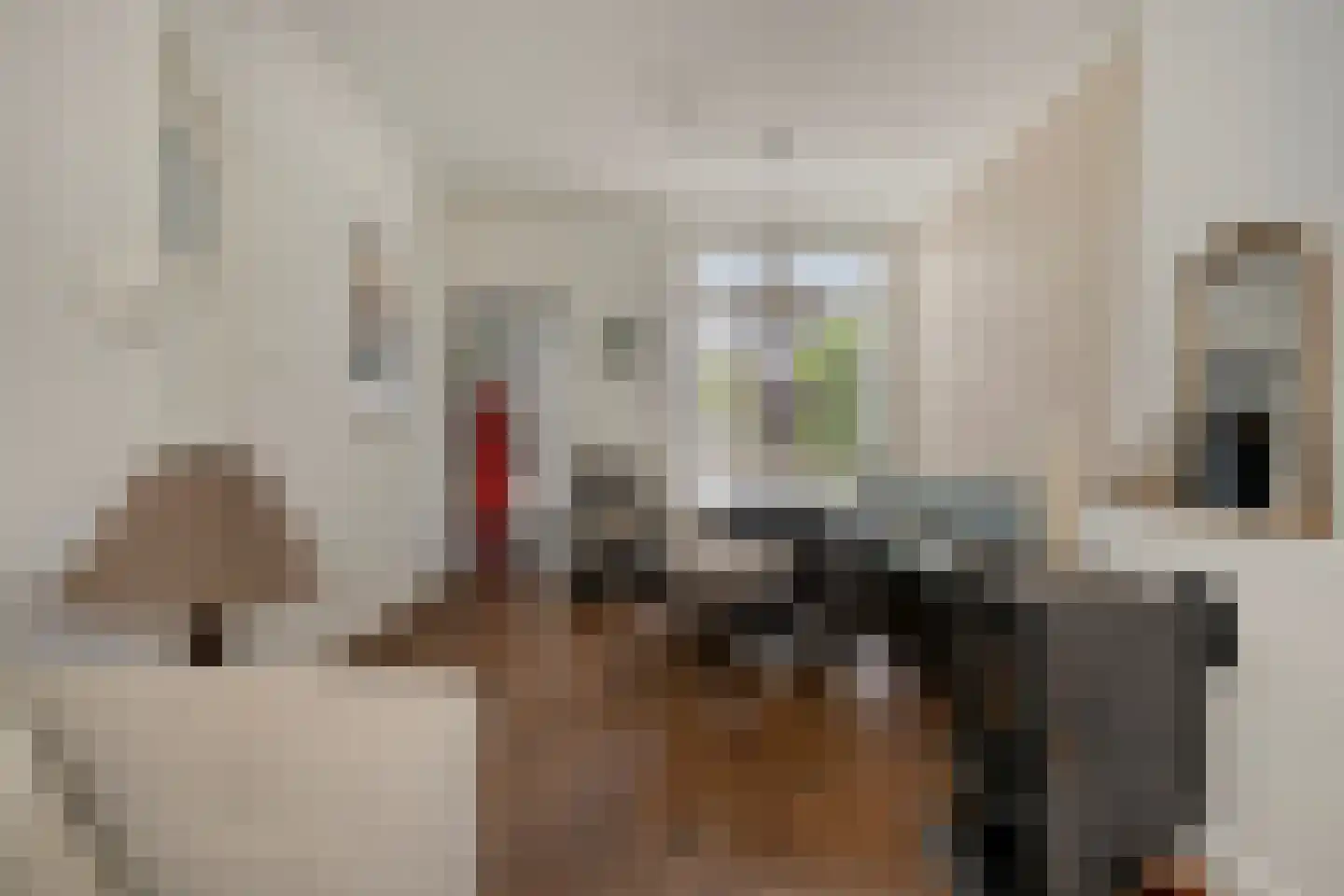 Bisschop Masiusstraat 29 Tilburg thumbnail 4