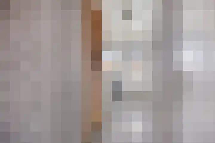 Bisschop Masiusstraat 41 Tilburg thumbnail 17