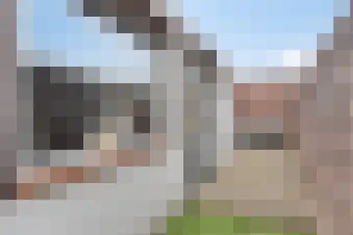 Bisschop Masiusstraat 41 Tilburg thumbnail 27