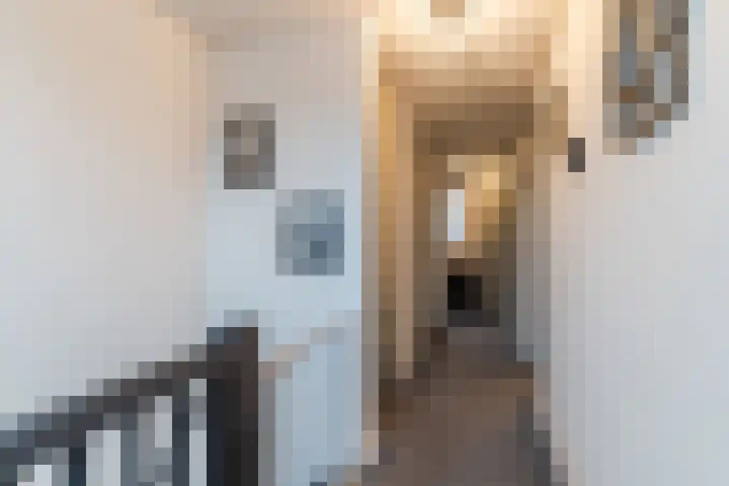 Bisschop Masiusstraat 47 Tilburg thumbnail 15