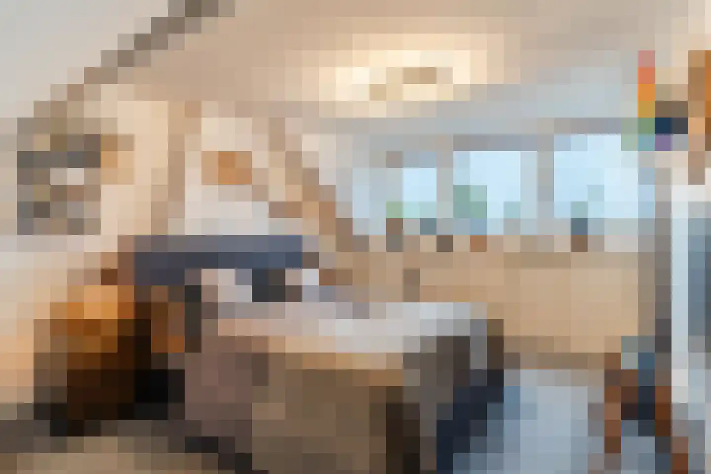 Bisschop Masiusstraat 47 Tilburg thumbnail 20