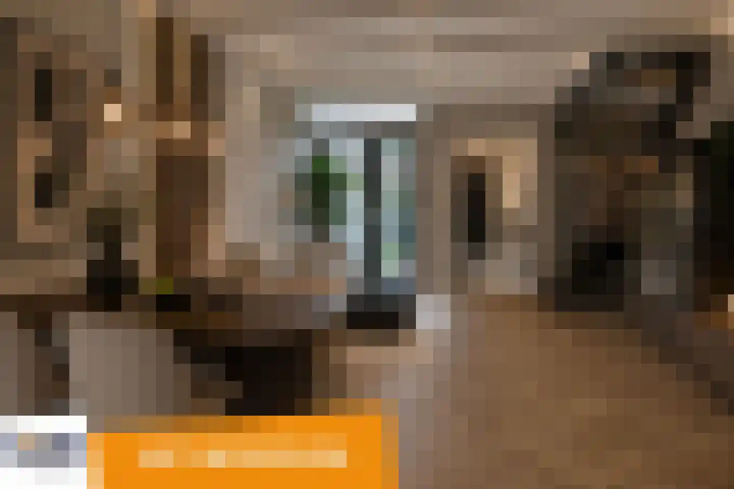 Bisschop Masiusstraat 47 Tilburg thumbnail 5