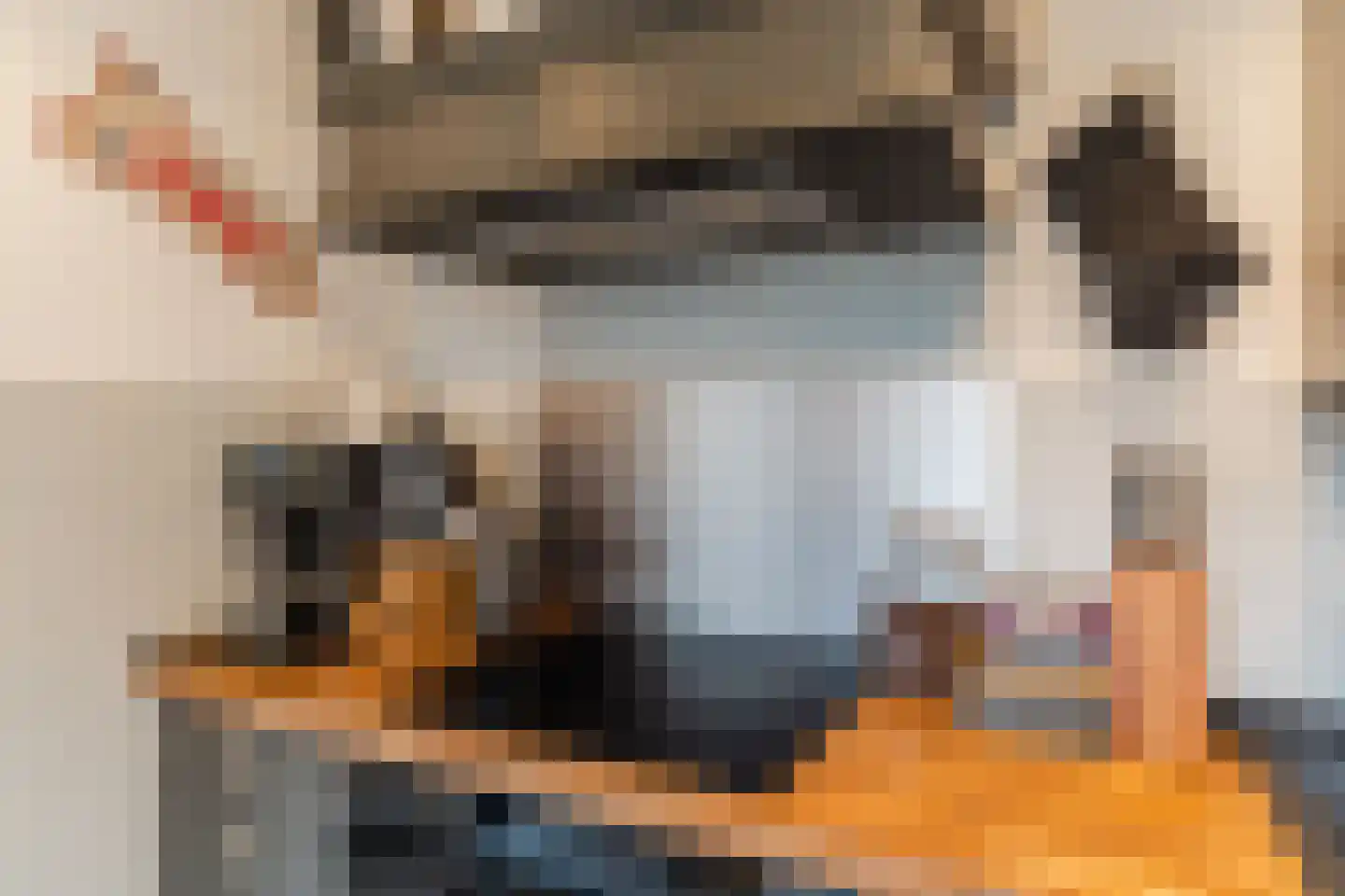 Bisschop Masiusstraat 47 Tilburg thumbnail 8